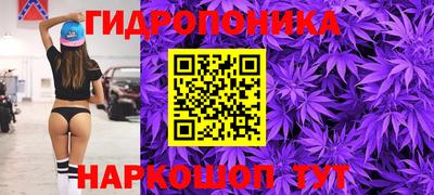 хмурый Малоярославец