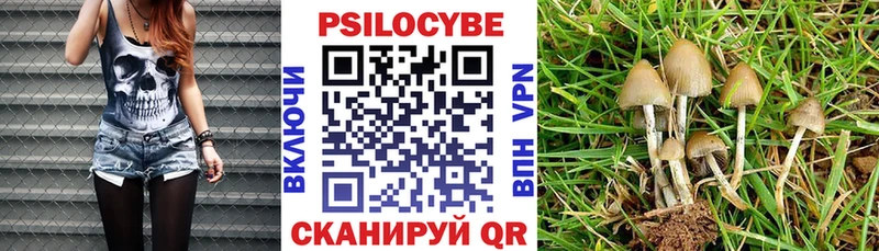 как найти закладки Морозовск Псилоцибиновые грибы ЛСД