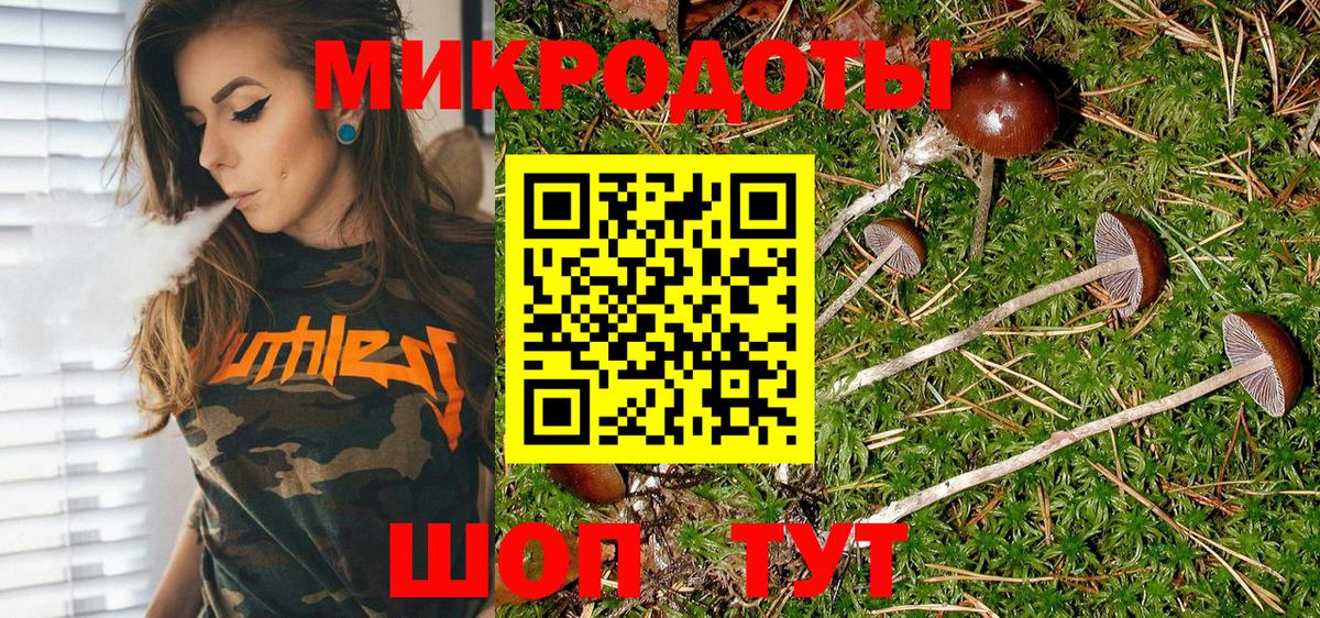 Галлюциногенные грибы мицелий Морозовск